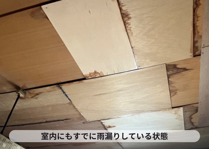 猪名川町　室内に雨漏りしている様子