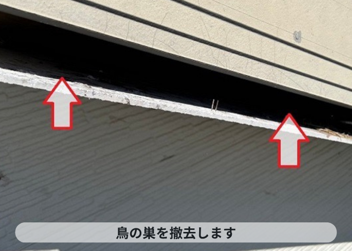 宝塚市　軒天内部の鳥の巣を撤去