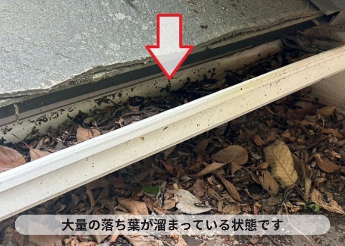 三木市　落ち葉が溜まっている様子
