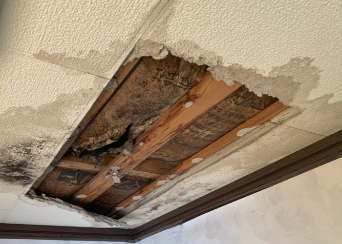 三木市　屋根からの雨漏りで天井が落ちている様子