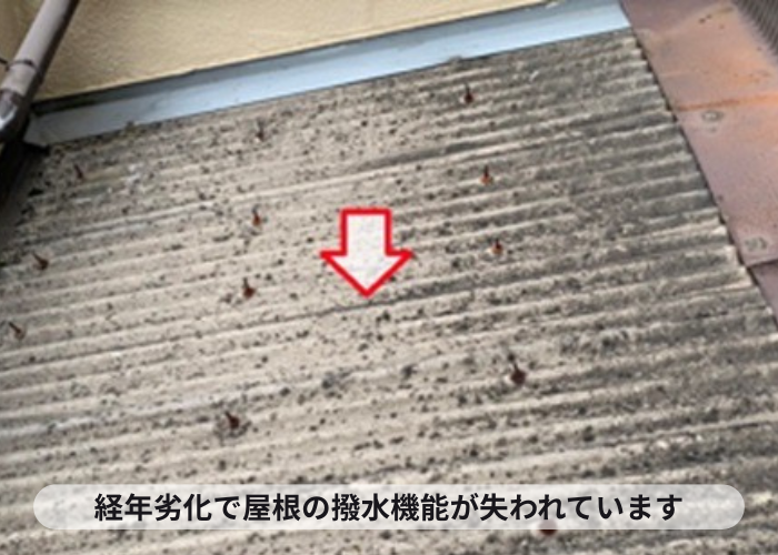 尼崎市　増築部分の小波スレート屋根は経年劣化で撥水機能が失われている様子