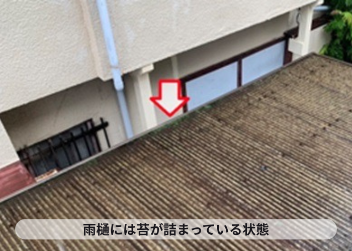 伊丹市　カーポート屋根に苔が溜まっている様子