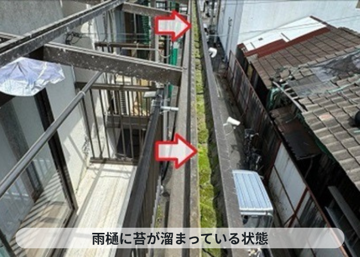 芦屋市　ベランダ屋根の雨樋に苔が溜まっている様子