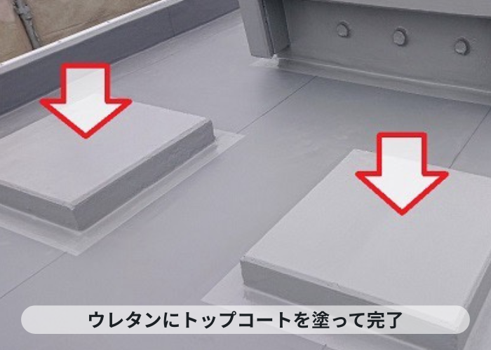 神戸市中央区　屋上のウレタン防水部分にトップコートを塗った様子