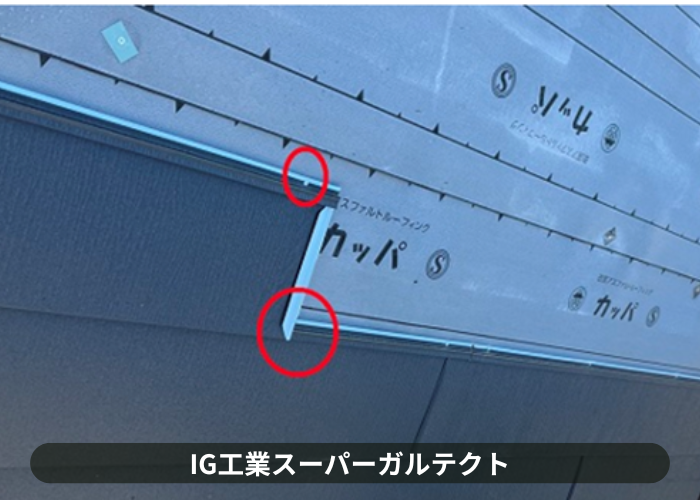 宝塚市　スーパーガルテクト