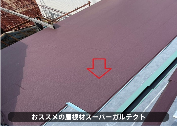 西宮市　スーパーガルテクト