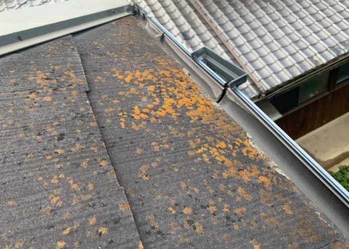 東灘区　スレート屋根に苔が生えている様子