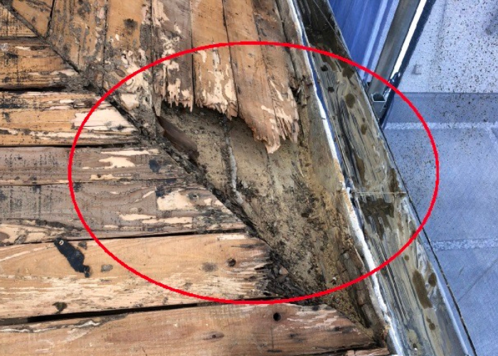 三木市　瓦屋根からの雨漏りにより下地が腐食している様子