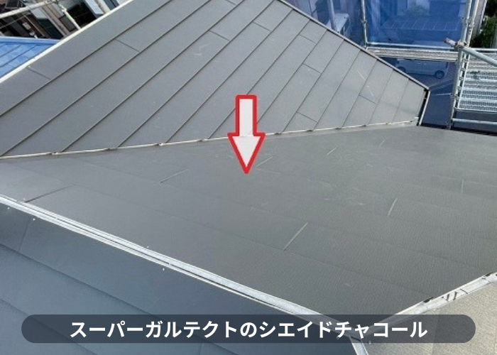 小野市　シェイドチャコール