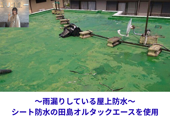 丹波篠山市　雨漏りしている屋上防水にシート防水である田島オルタックエースを使用する現場の様子