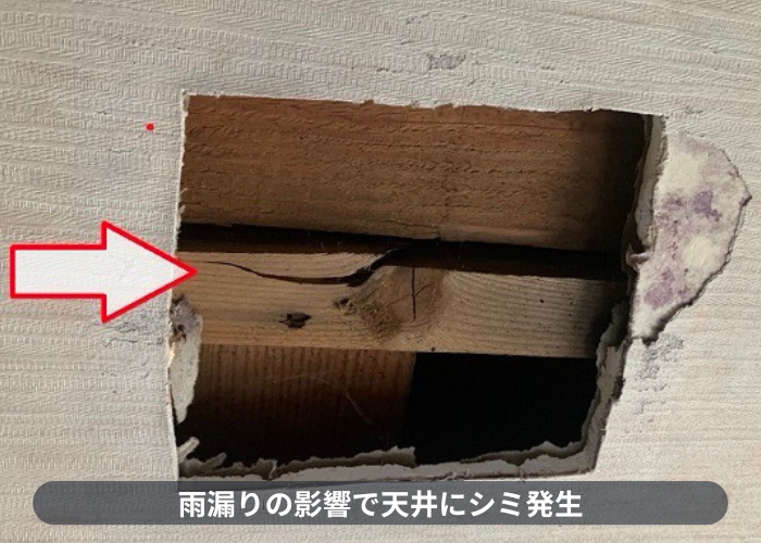 伊丹市　雨漏りの影響で天井にシミ