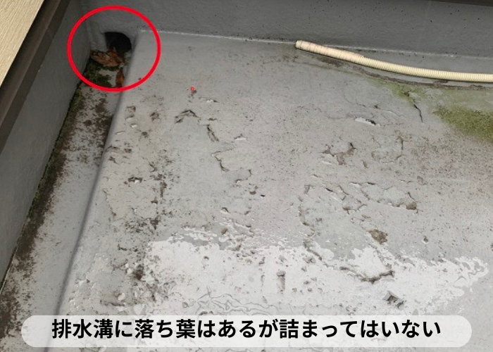 東灘区　排水溝付近に落ち葉が落ちている様子