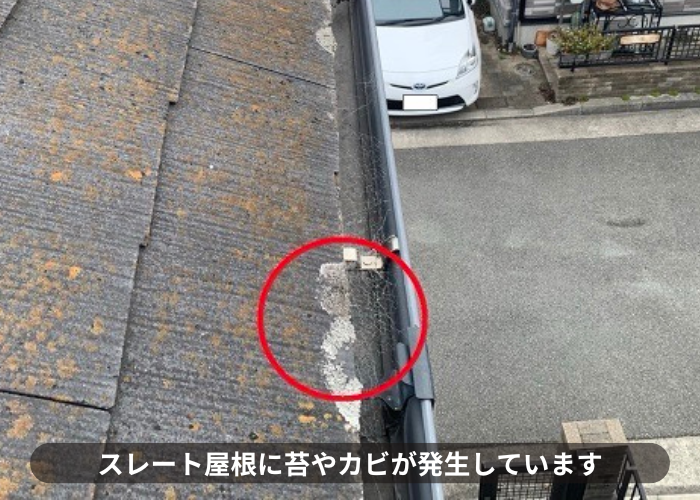 スレート屋根に苔やカビが発生している様子