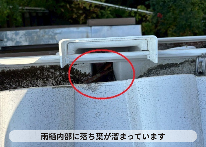 宝塚市　雨樋内部に溜まる落ち葉