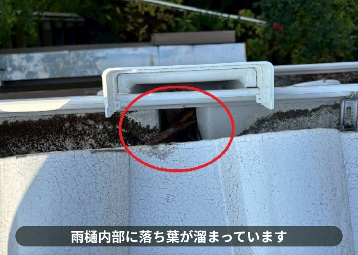 猪名川町　雨樋内部に溜まる落ち葉