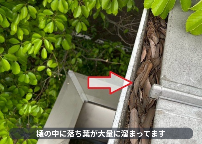 宝塚市　雨樋の中に落ち葉が大量に溜まっている様子