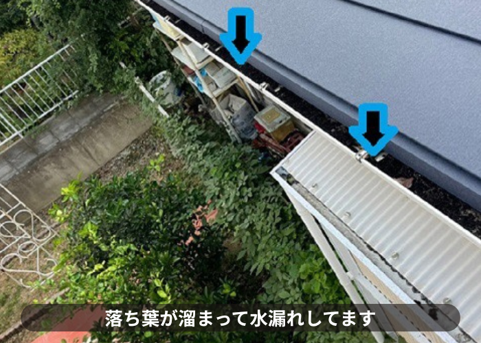 市川町　雨樋内部に落ち葉が溜まっている様子