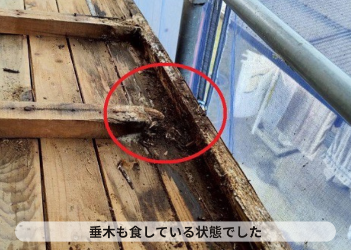 猪名川町　垂木が腐食している様子