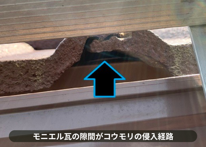 市川町　モニエル瓦の隙間