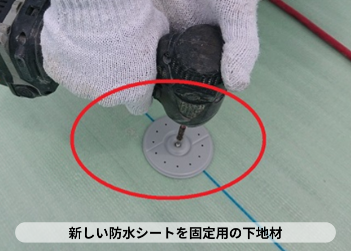 西宮市　新しいシート防水を固定するためのディスク