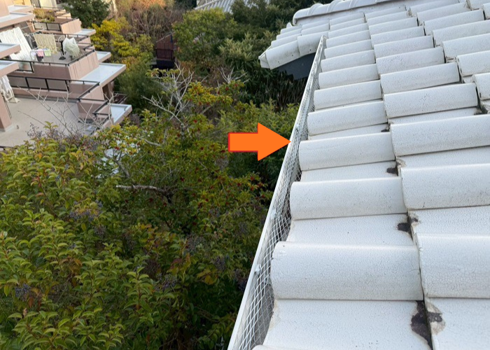 猪名川町　落ち葉除けネットを取り付けた後の様子