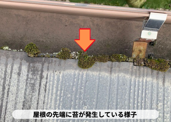 丹波篠山市　カラーベスト屋根の無料点検で苔の発生を確認