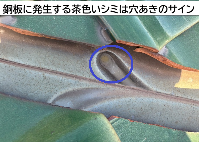 瓦屋根の谷に発生するシミは穴あきのサイン